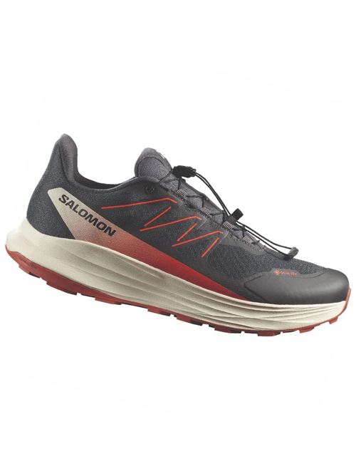 alpha ride 2 gtx SALOMON | L49181600ASPH ARAB SPICE